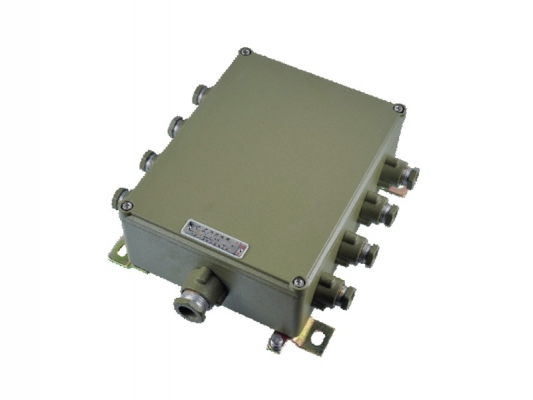 Cheap price Class 1 Div 2 Explosion Proof - eJX series Explosion proof connection box – Feice detail pictures